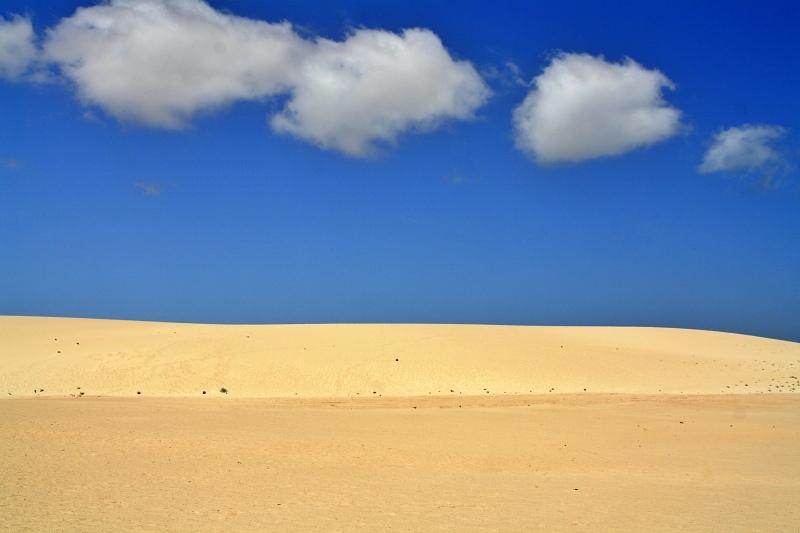 Die Dünen bei Corralejo beim Landausflug Fuerteventura auf eigene Faust