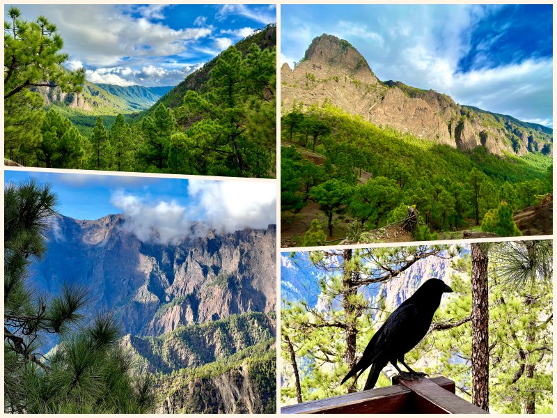 Der phantastische Nationalpark Caldera de Taburiente auf unserem Landausflug La Palma auf eigene Faust